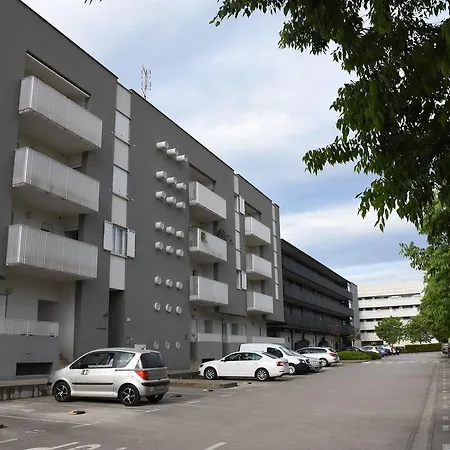Cvek 3